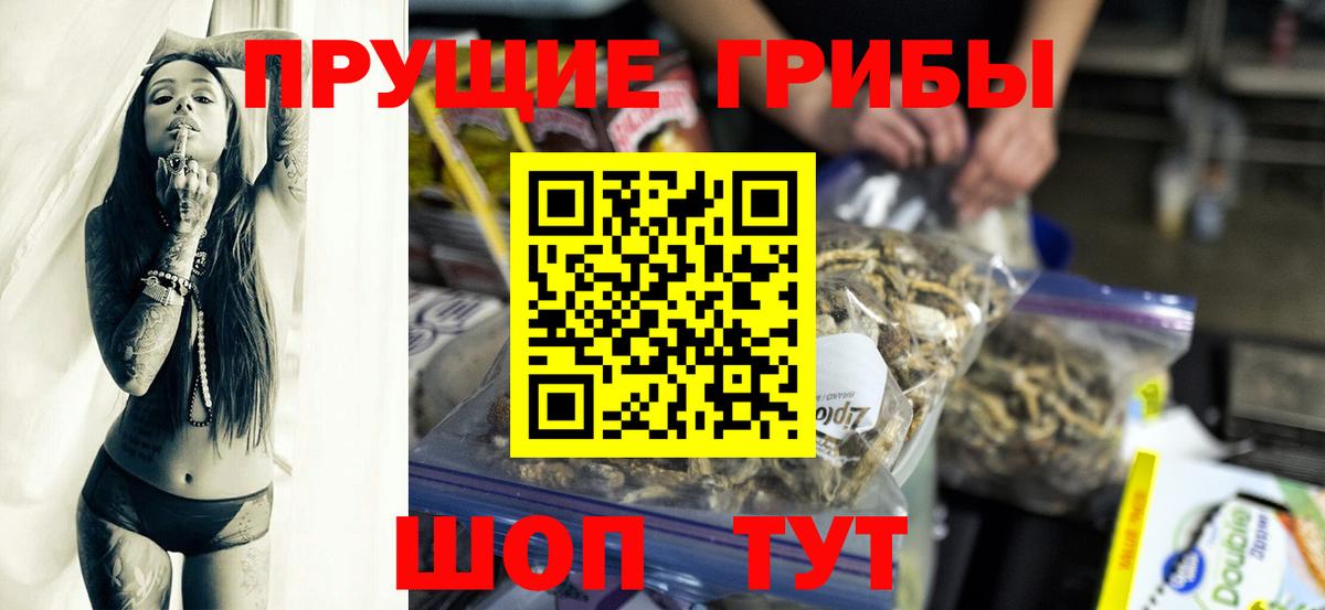 Норильск  Псилоцибиновые грибы Cubensis  Вход с VPN 